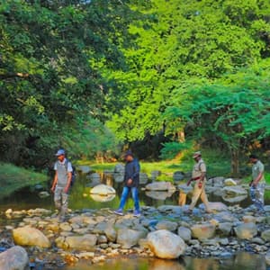Trekking in Tamil Nadu