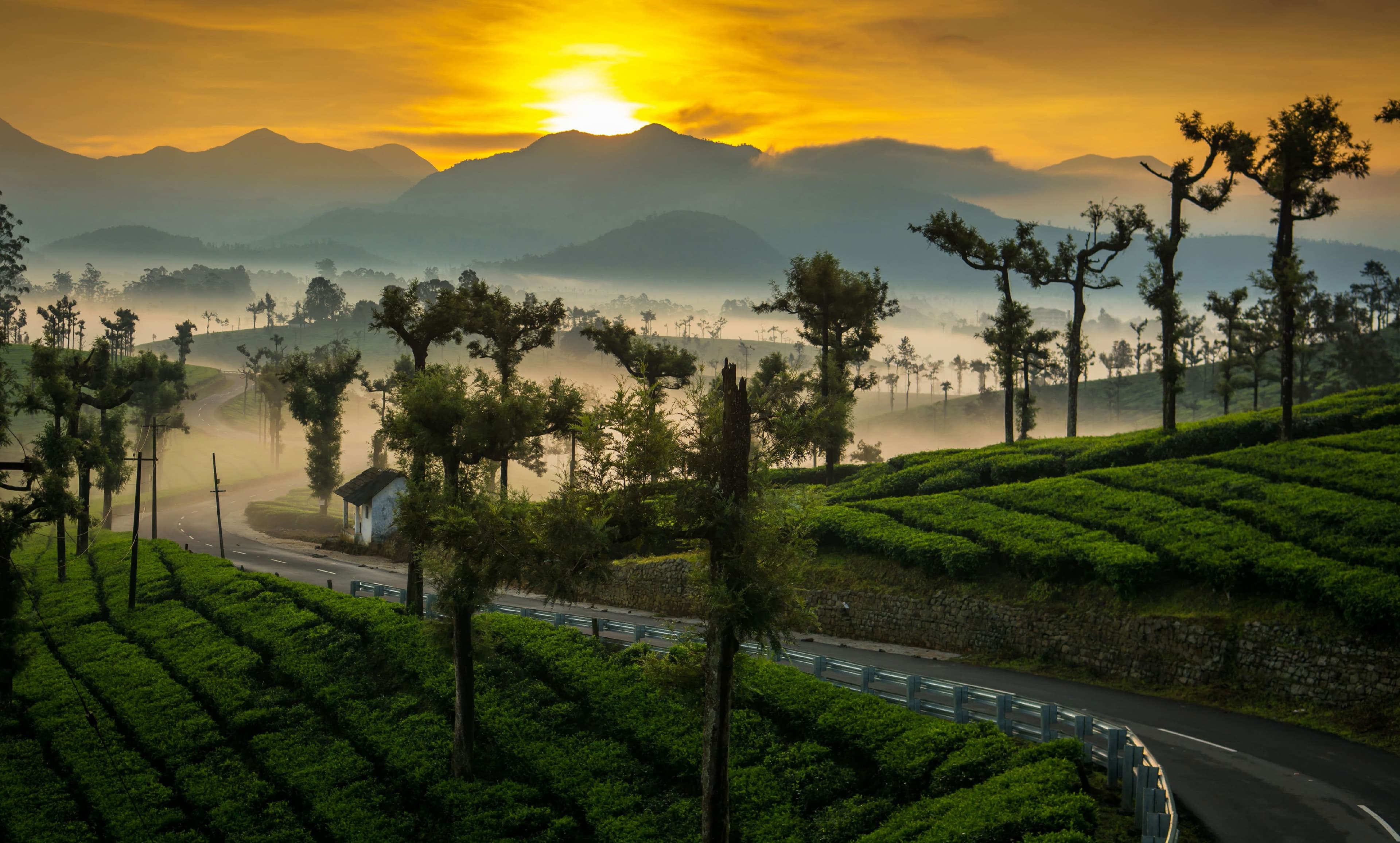 Tamil Nadu Hill Stations