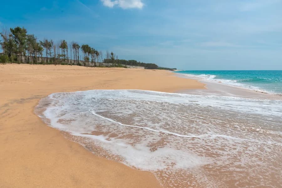 Thekkurichi Beach