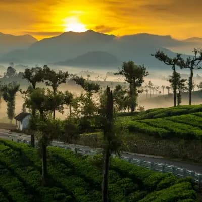 Valparai Hill Station - Tamilnadu
