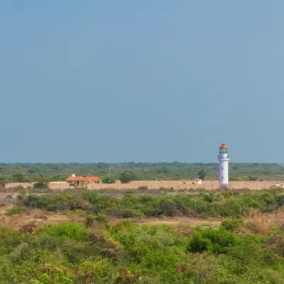 Point Calimere Wildlife Sanctuary