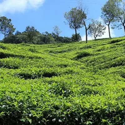 Coonoor Hill Station
