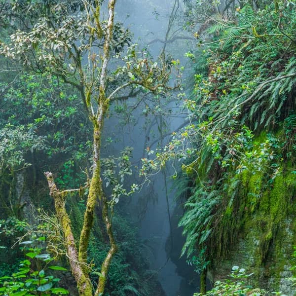 Guna Cave