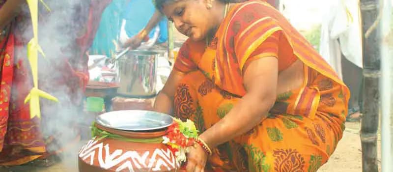 Thai Pongal Festival