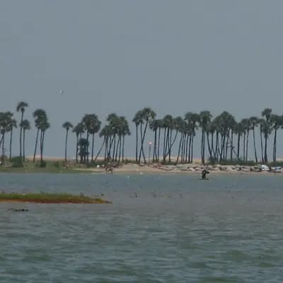 Pulikat Lake