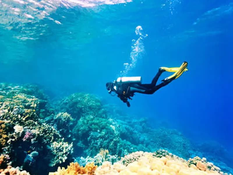 Scuba Diving in Chennai
