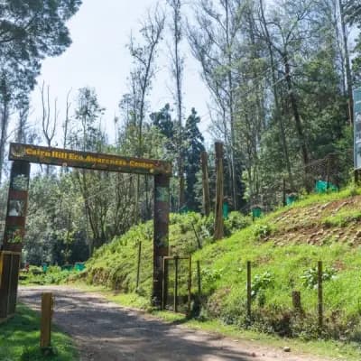 Cairn Hill Reserve Forest