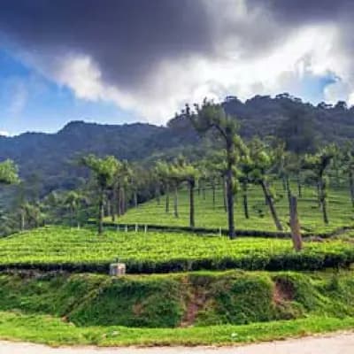 Manjolai Hill Station - Tamilnadu
