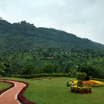 Kattery Park