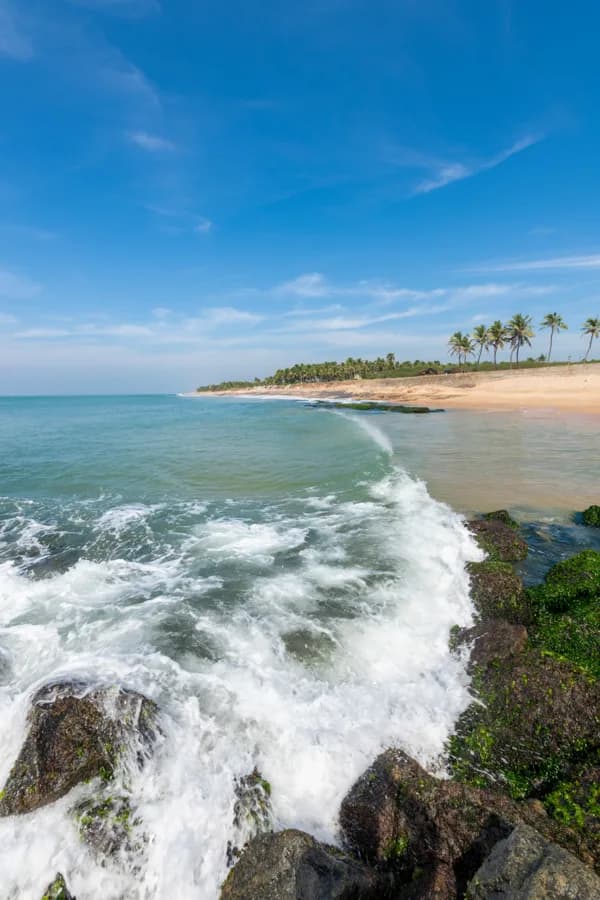 Sanguthurai Beach gallery image 6