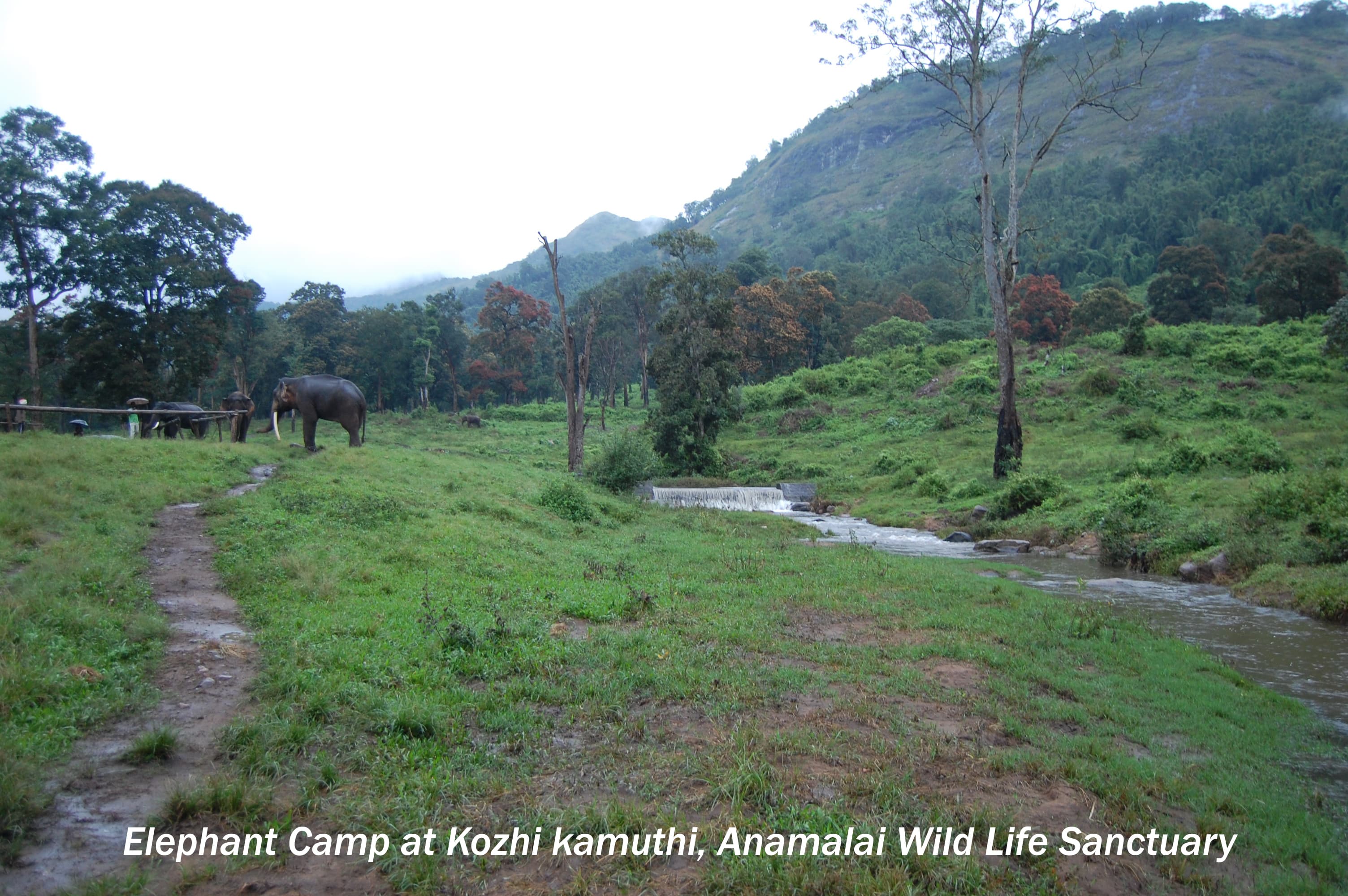 Anamalai Hill Station gallery image 3