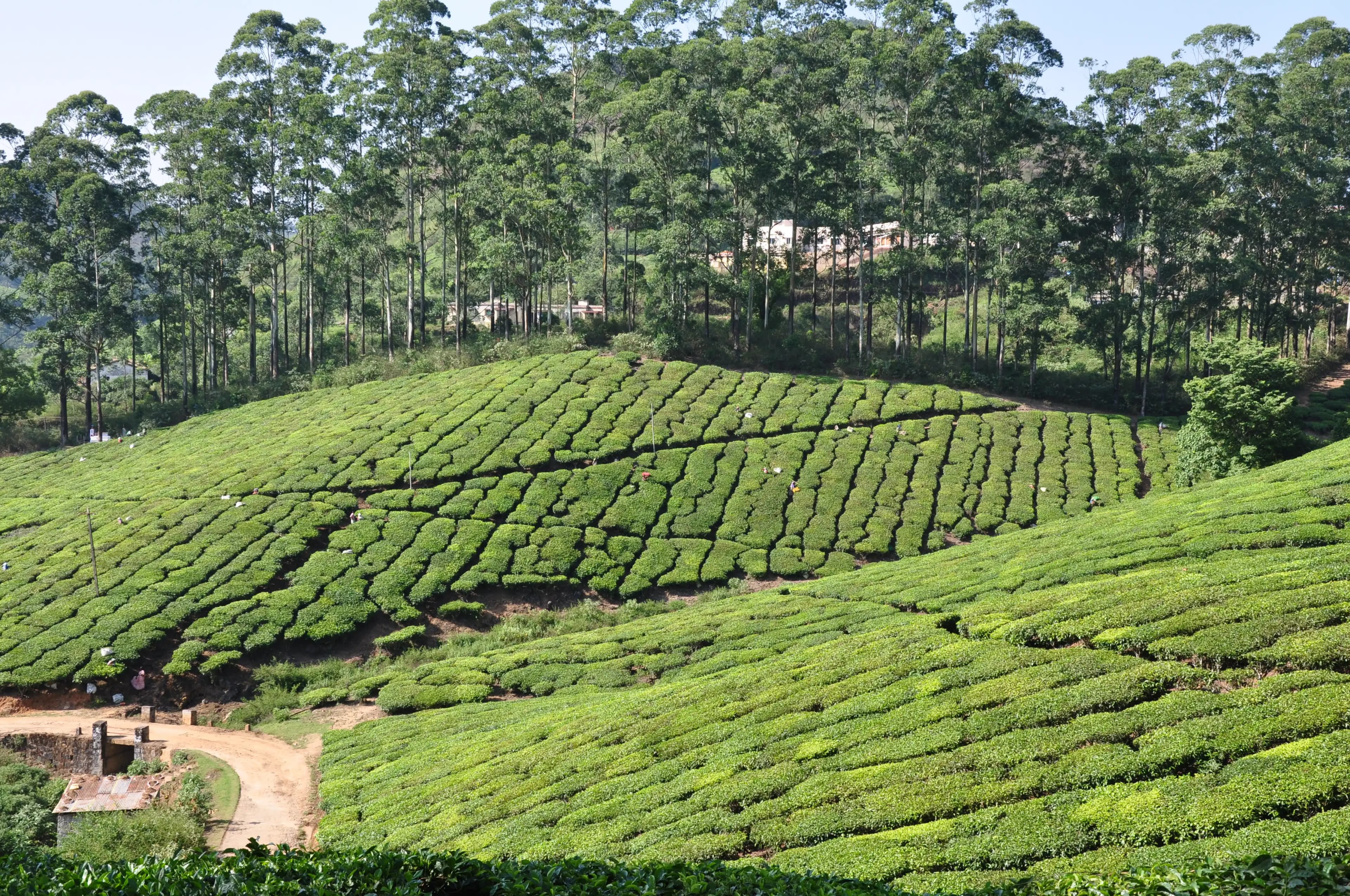 Meghamalai gallery image 6