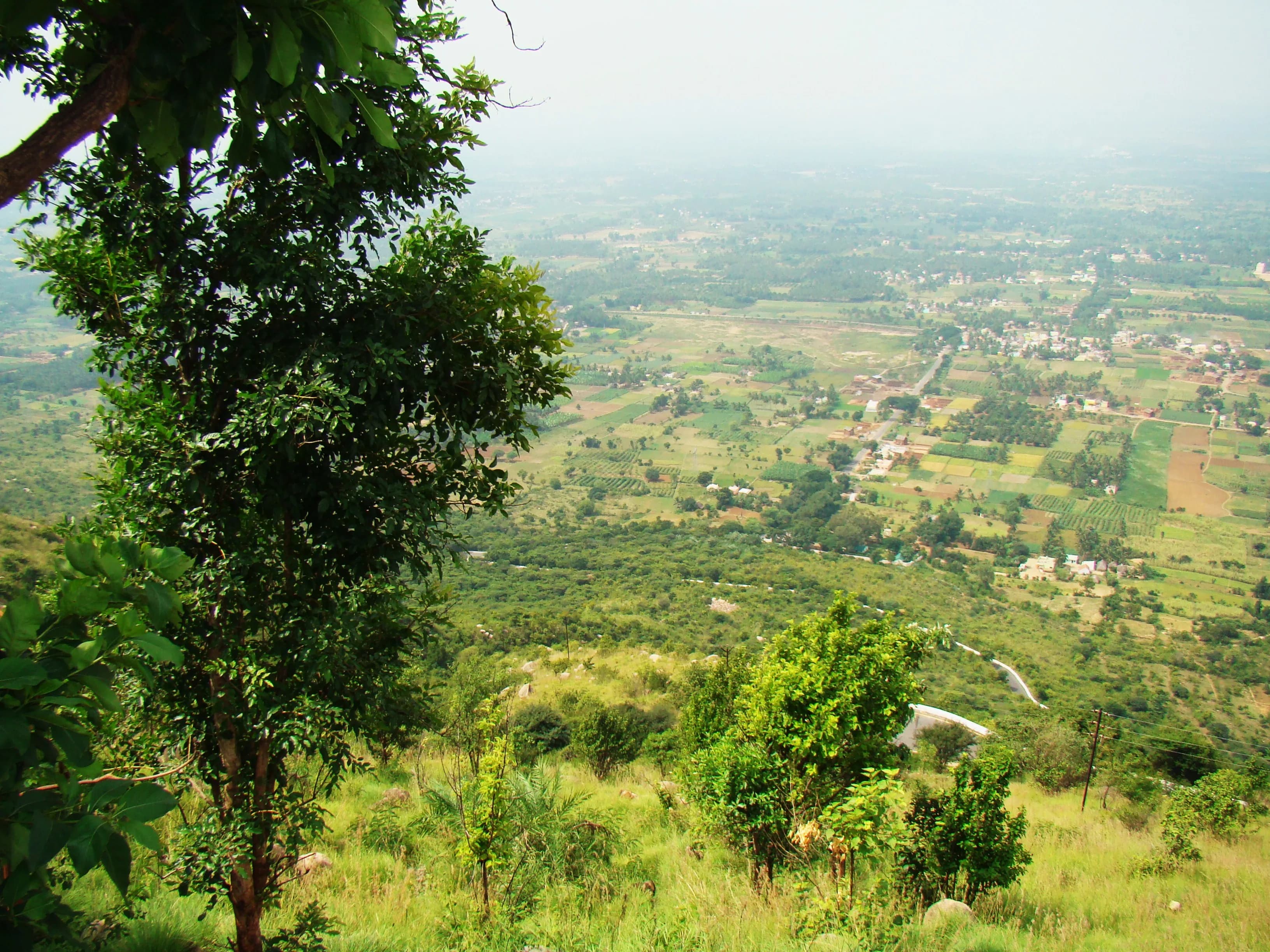 Yelagiri Hill Station - Tamilnadu gallery image 5