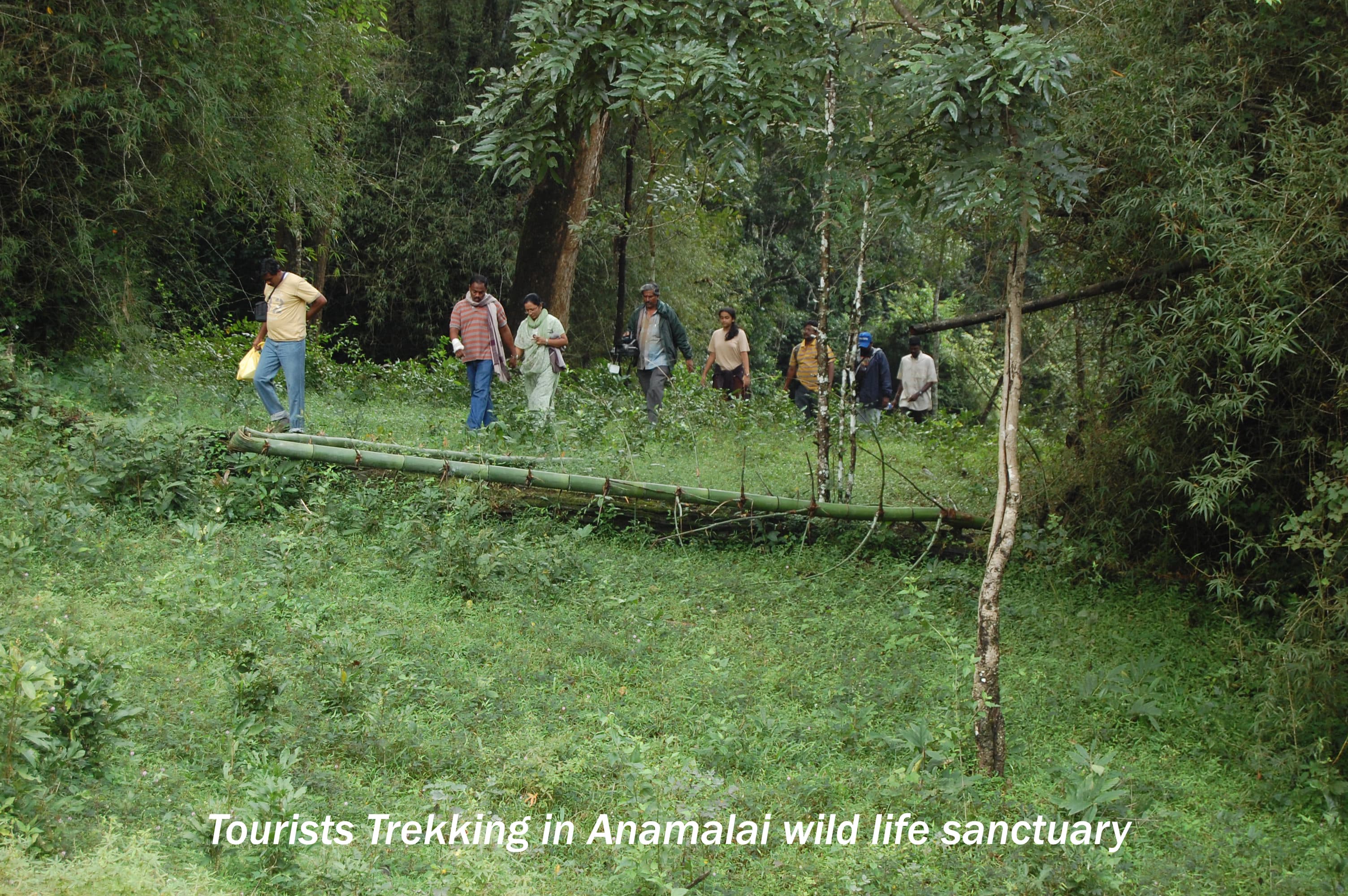 Anamalai Hill Station gallery image 1