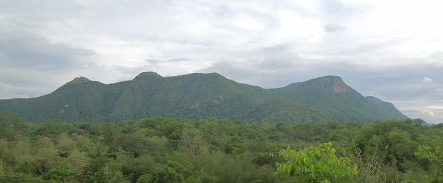 Jawadhu Hills: A Scenic Hill Station in Tamil Nadu gallery image 1