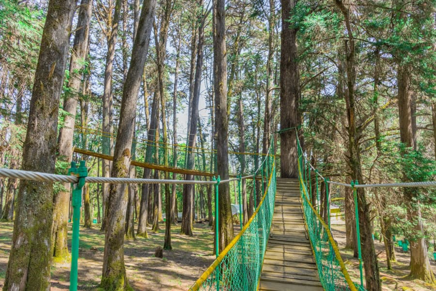 Cairn Hill Reserve Forest gallery image 3