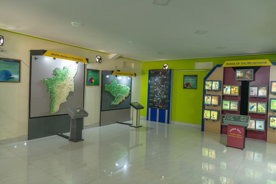Cairn Hill Reserve Forest gallery image 2