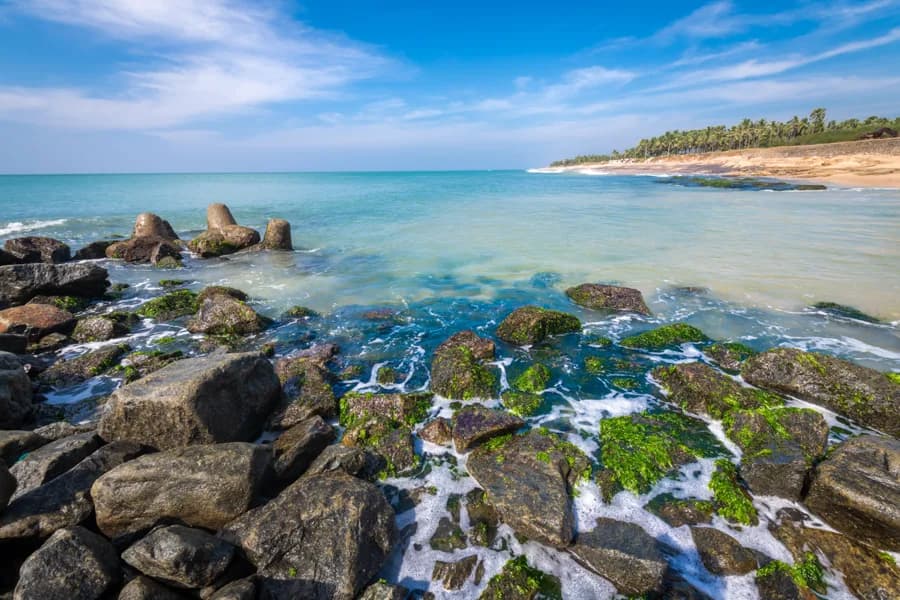 Sanguthurai Beach gallery image 5