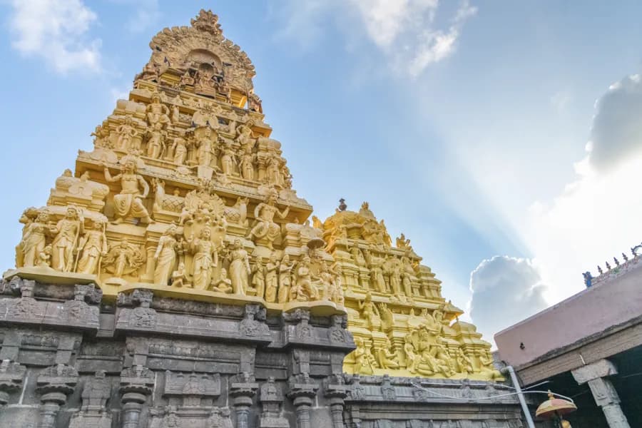 Sri Parthasarathy Temple gallery image 1