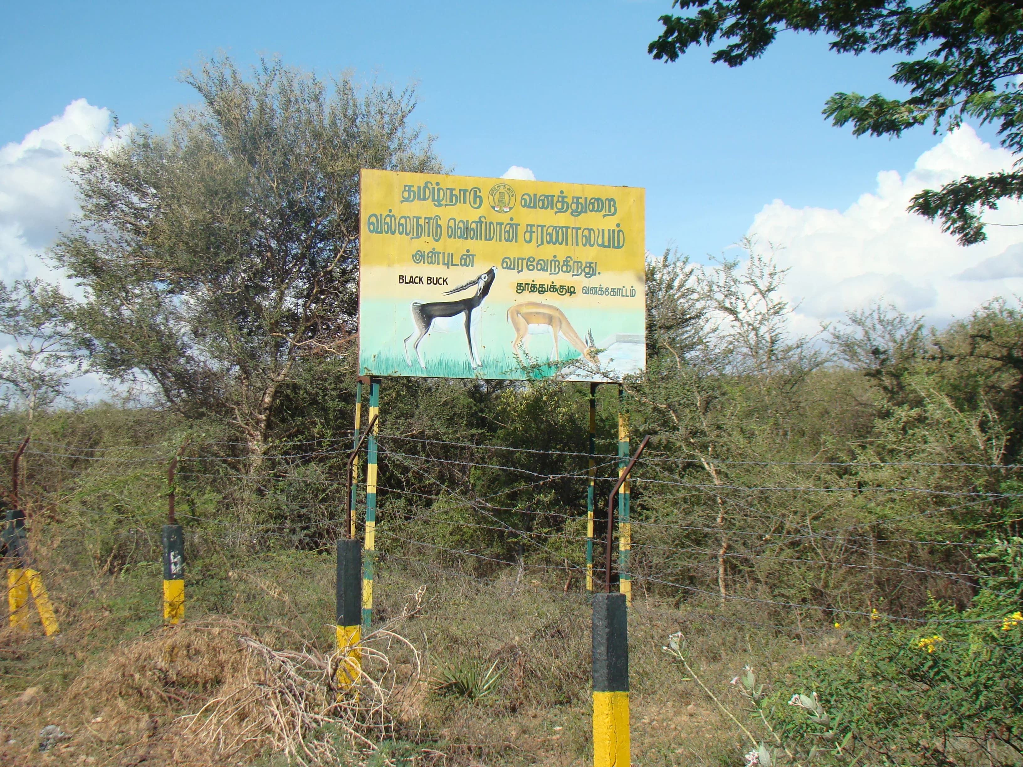 Vallanadu wildlife gallery image 1