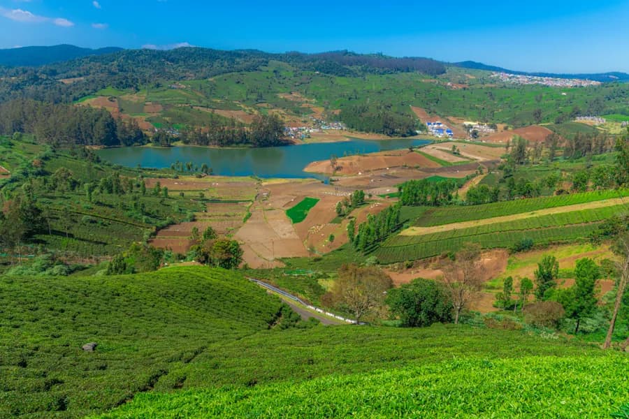 Ooty Hill Station - Tamilnadu gallery image 1