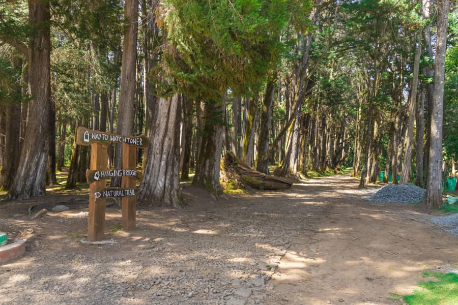 Cairn Hill Reserve Forest gallery image 7