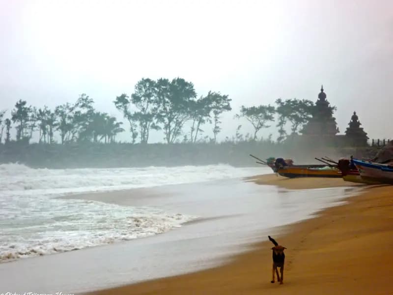 Mahabalipuram Beach gallery image 1