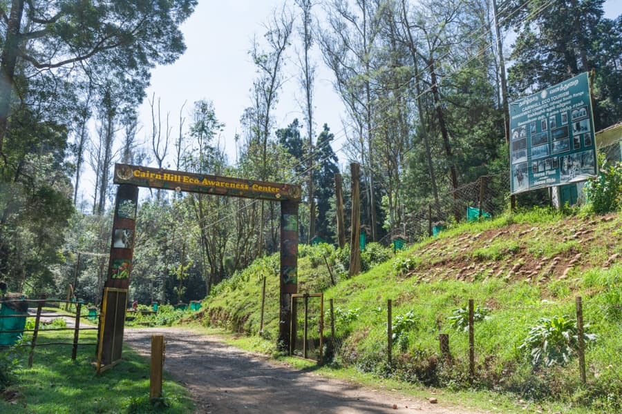 Cairn Hill Reserve Forest gallery image 1