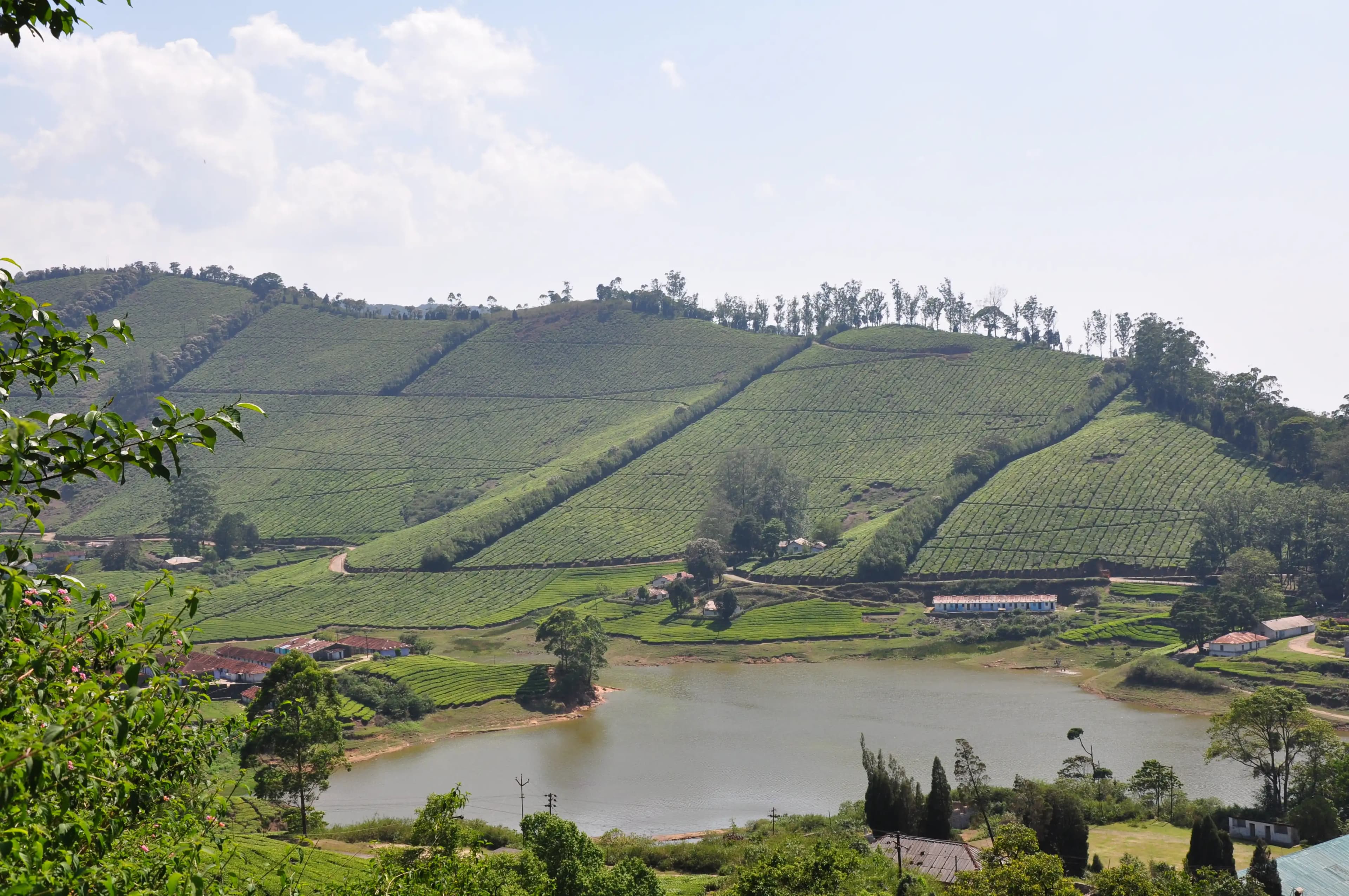 Meghamalai gallery image 4