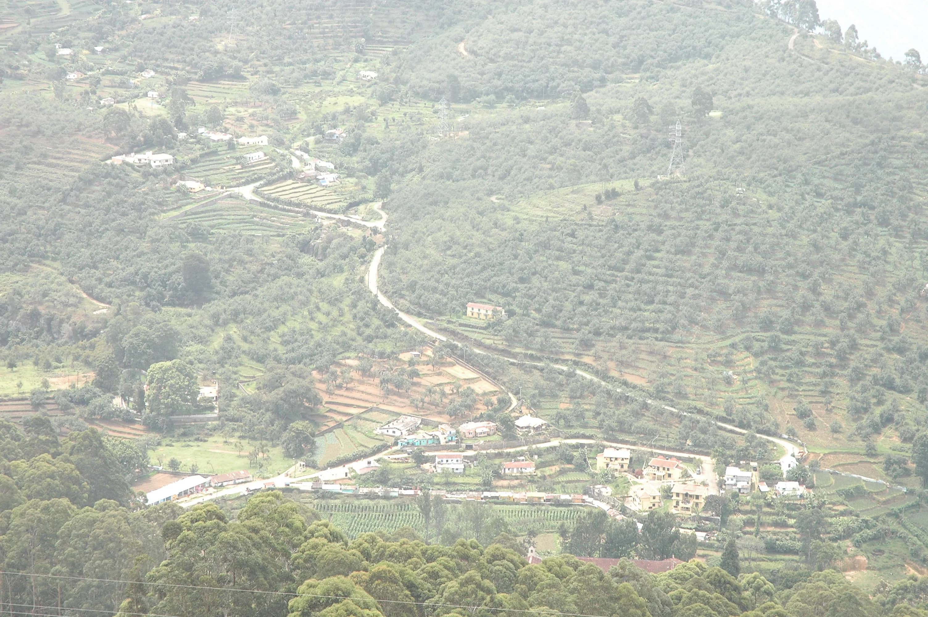 Trekking In Kodaikanal gallery image 4