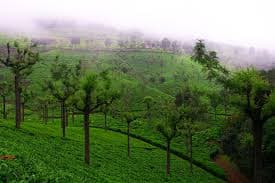 Coonoor Hill Station gallery image 3