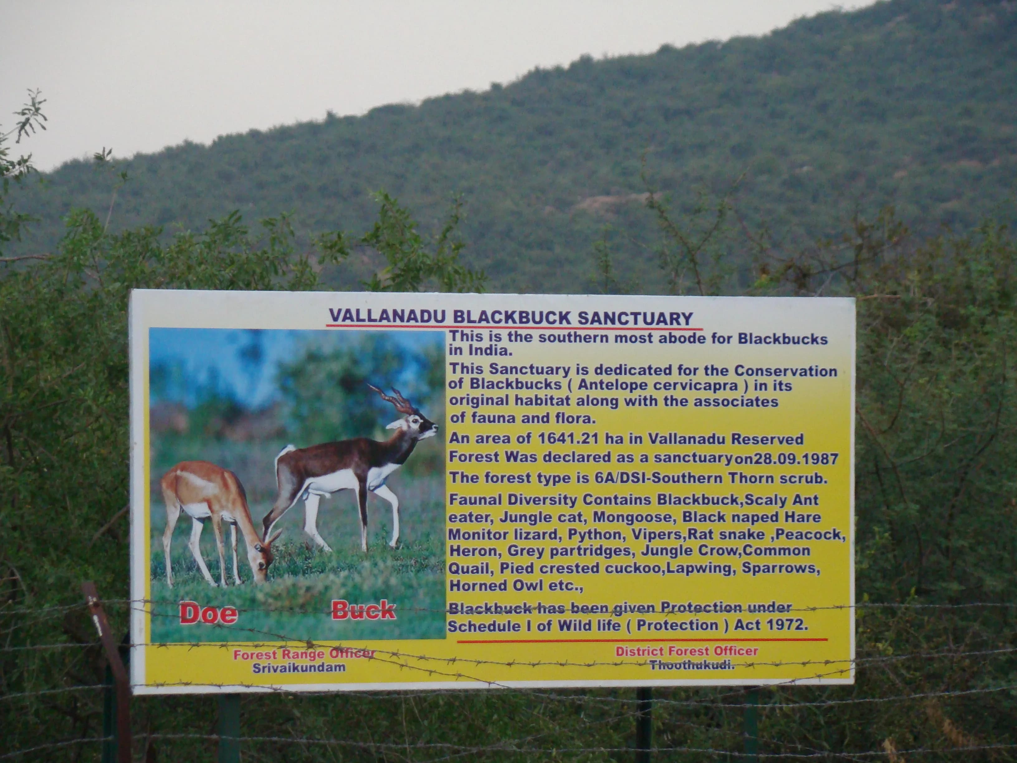 Vallanadu wildlife gallery image 2
