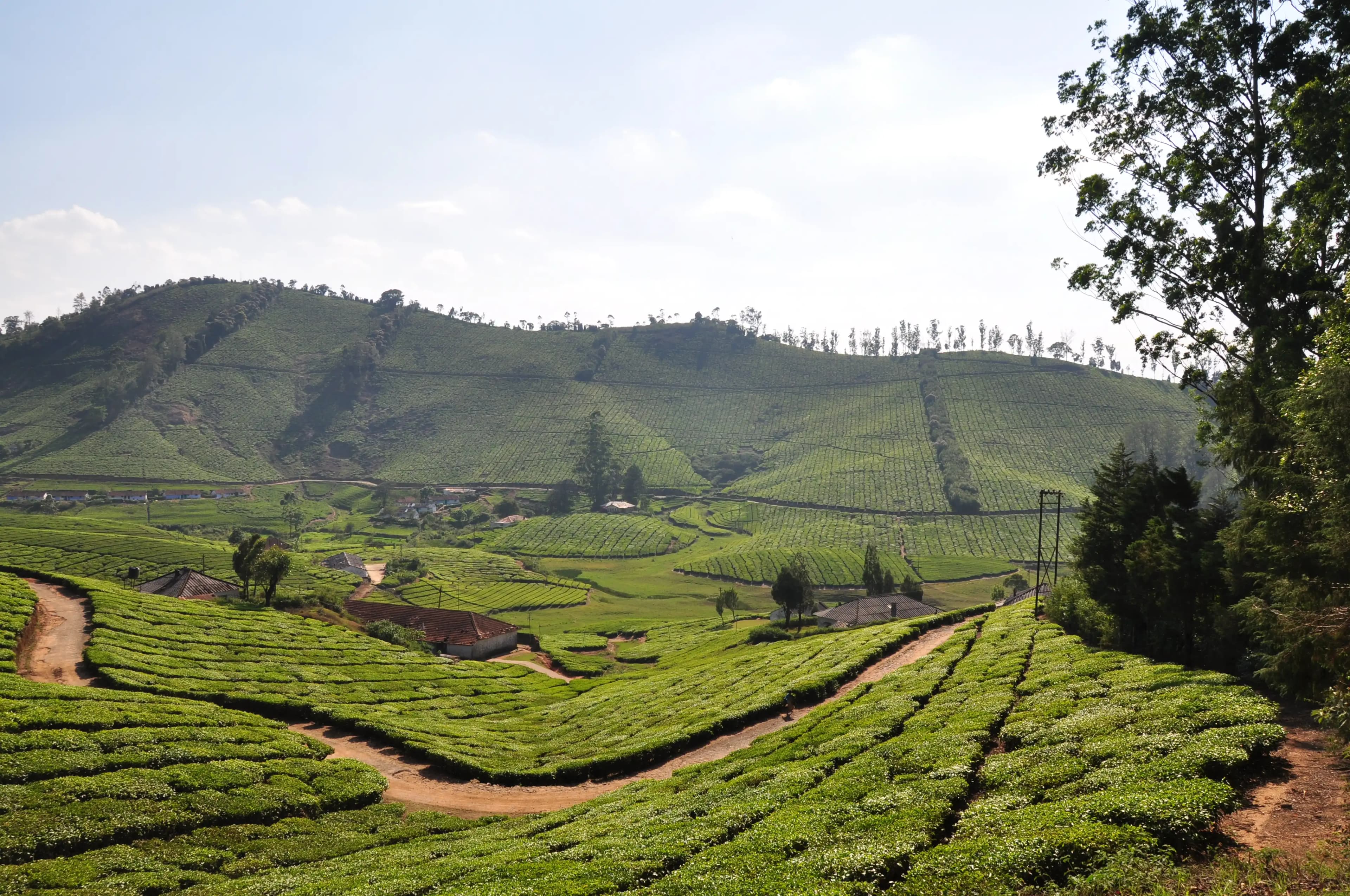 Meghamalai gallery image 5