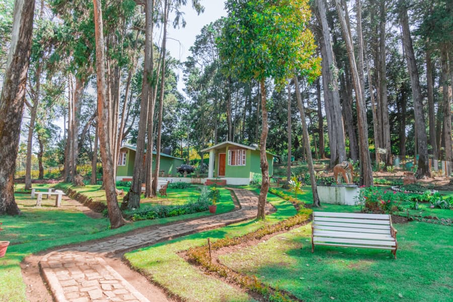 Cairn Hill Reserve Forest gallery image 6