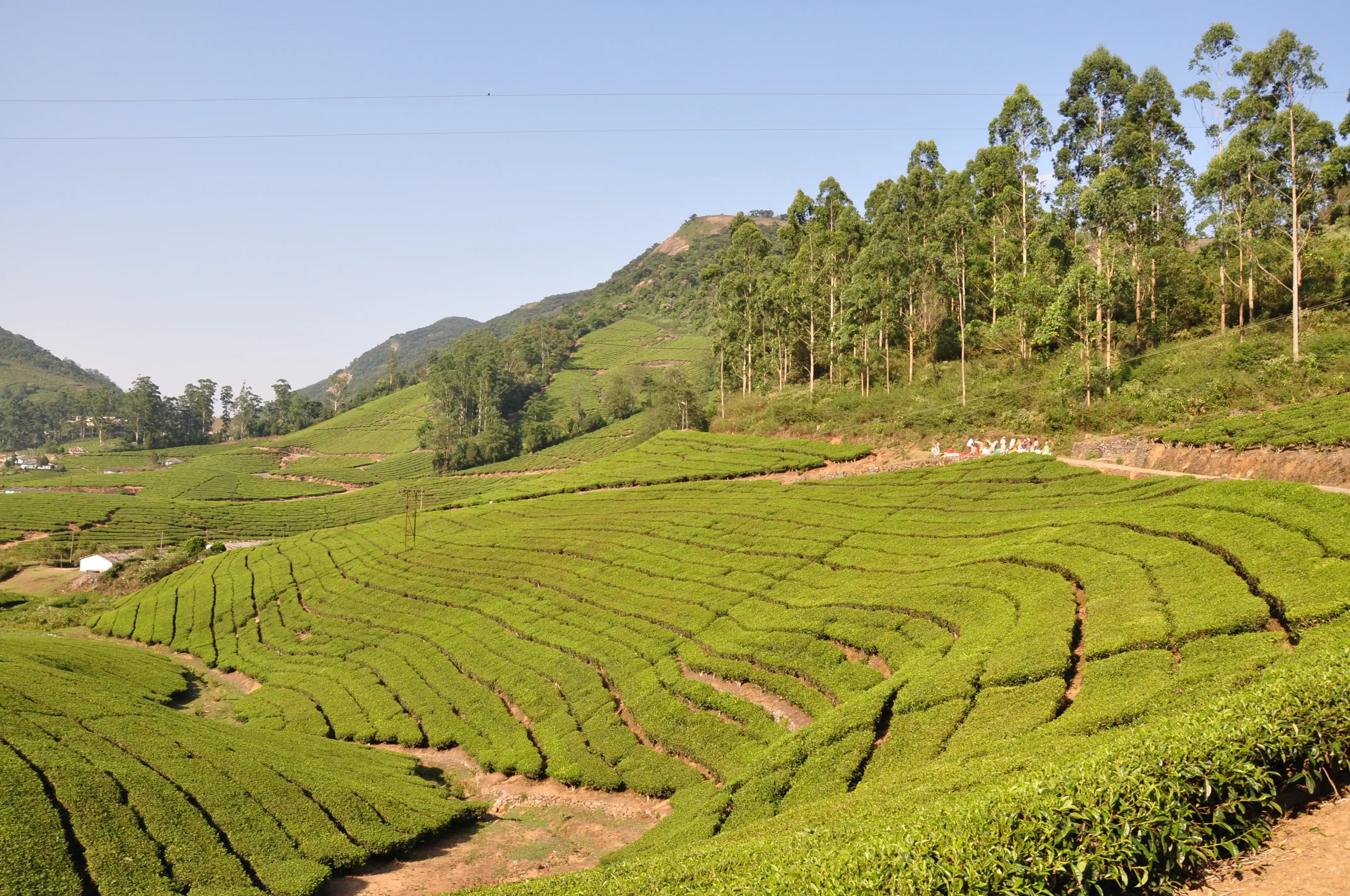 Meghamalai gallery image 1