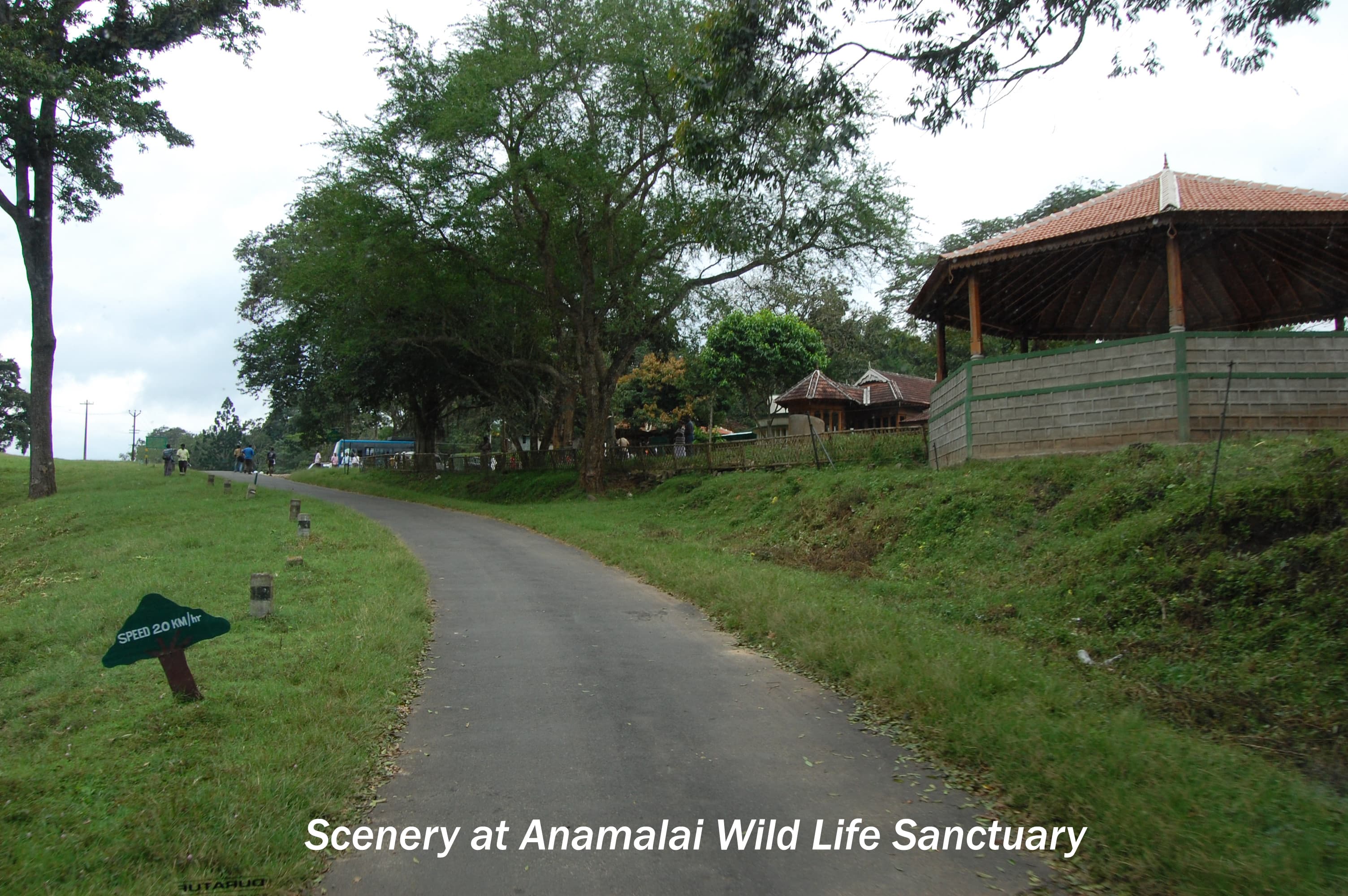 Anamalai Hill Station gallery image 2