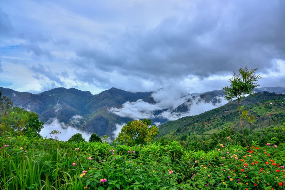 Rangaswamy Peak and Pillar gallery image 2
