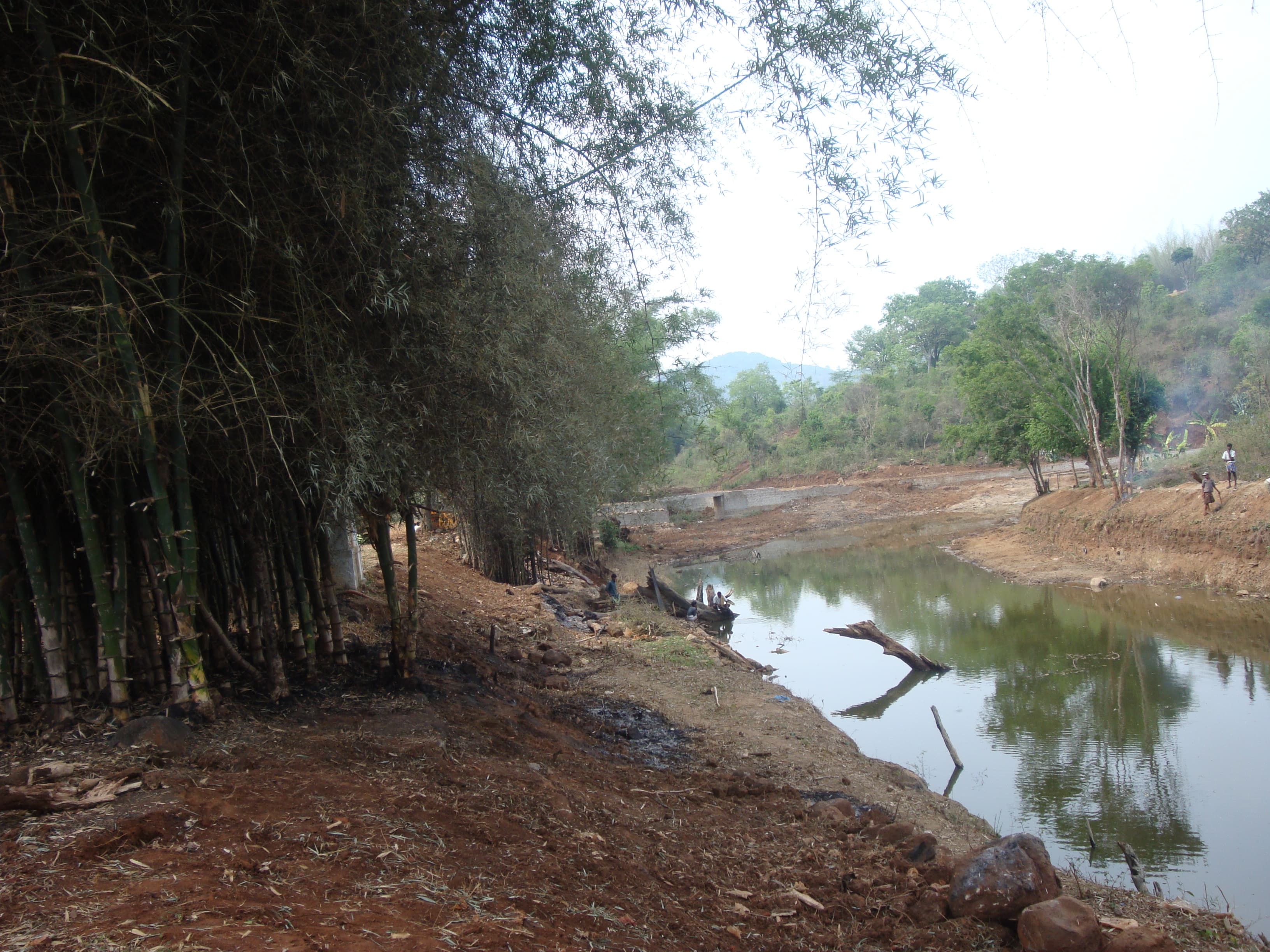 Kalrayan Hills: A Tranquil Retreat in Tamil Nadu gallery image 2