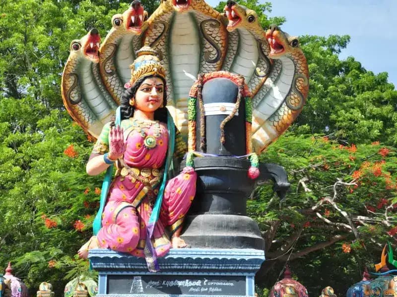 Pettai Amman Temple gallery image 1