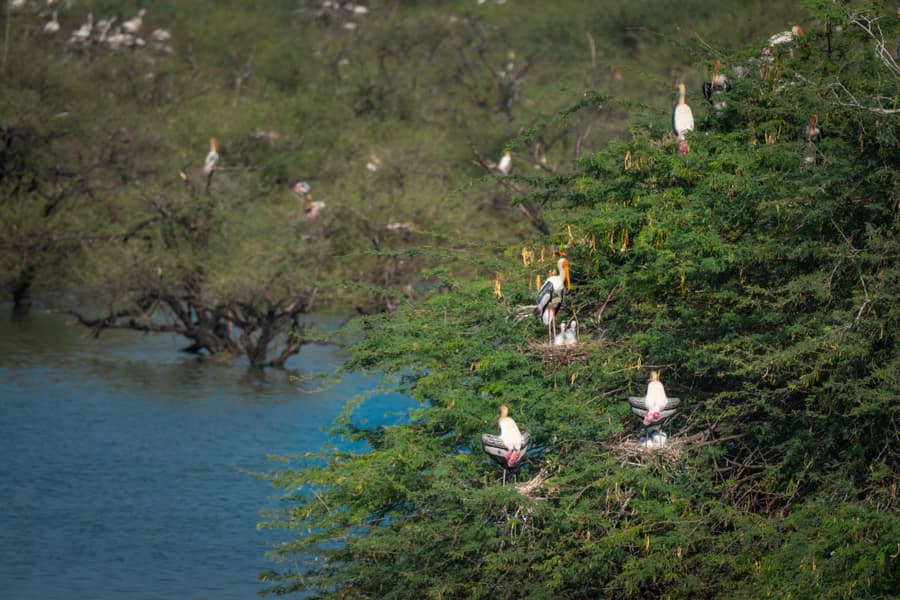 Panagudi tourism