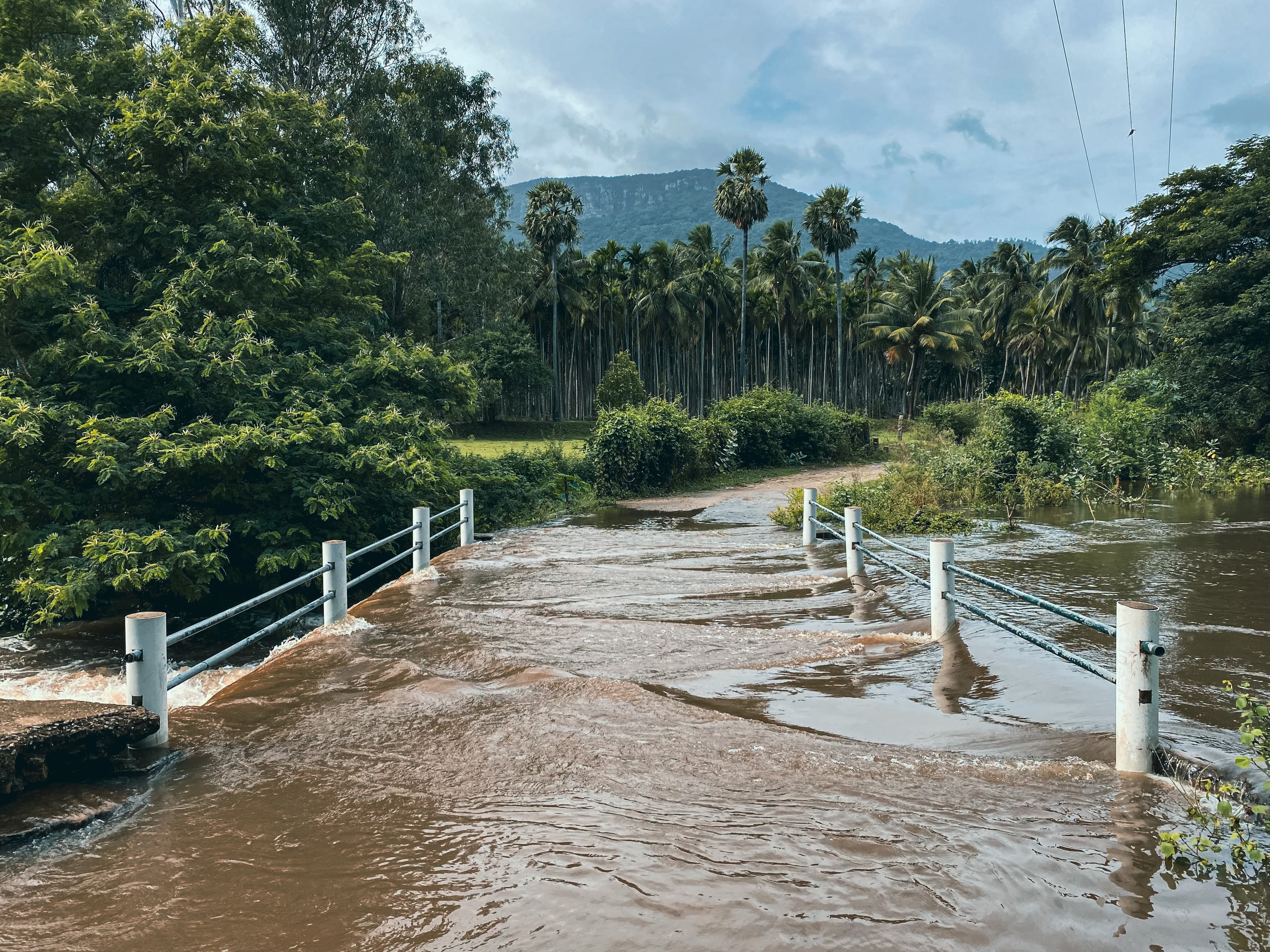 Udumalaipettai tourism