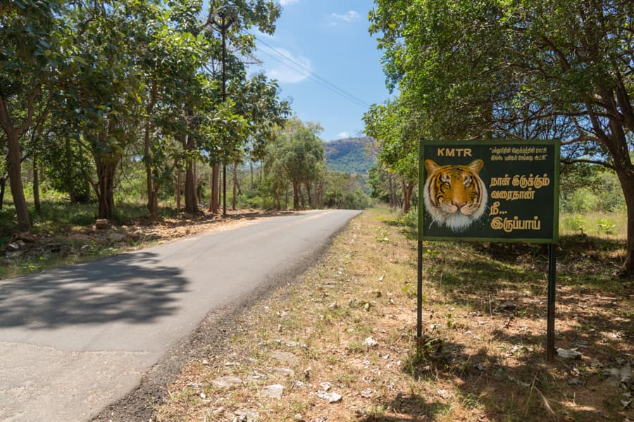 Manjolai tourism