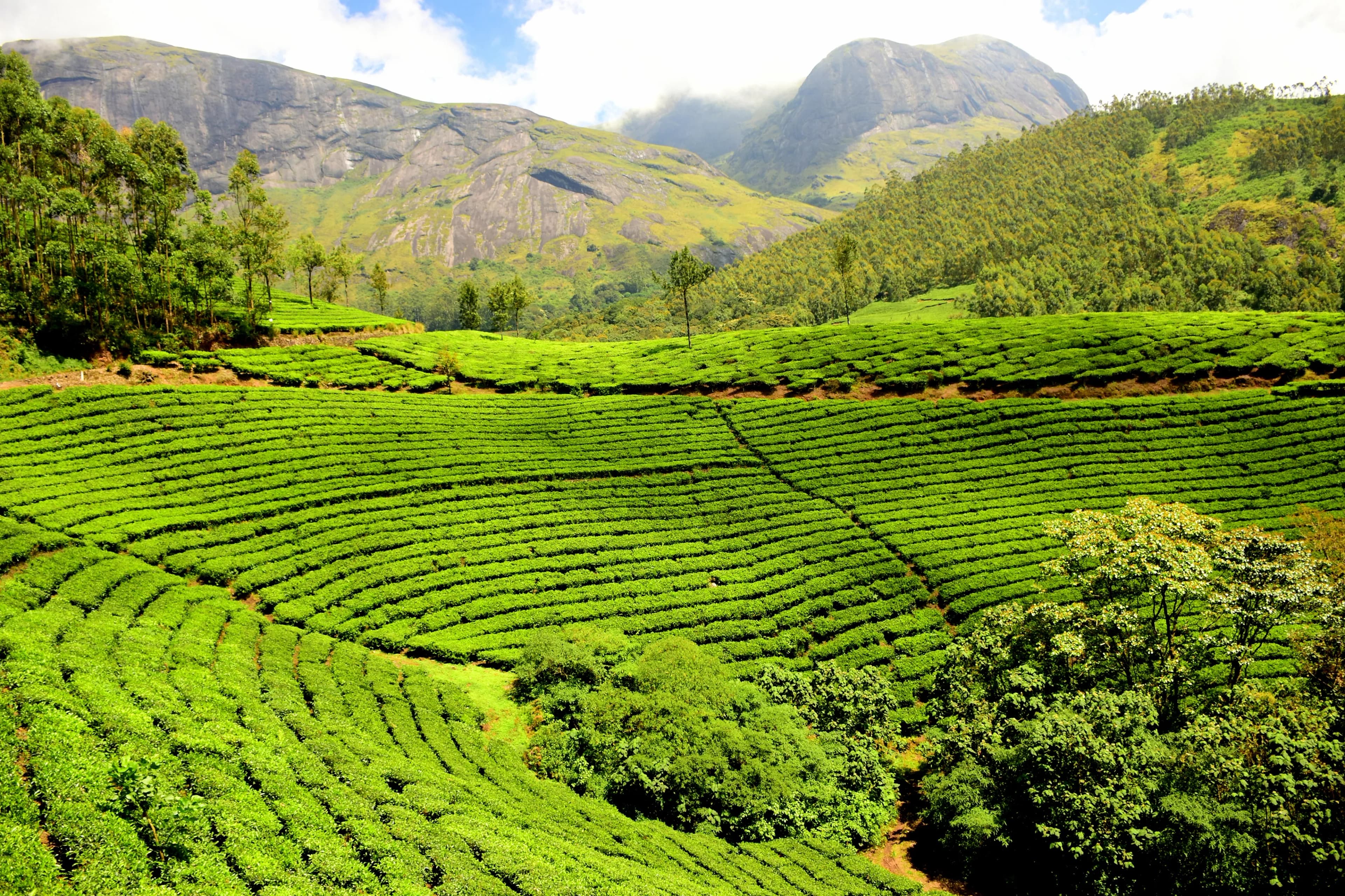 Ooty tourism