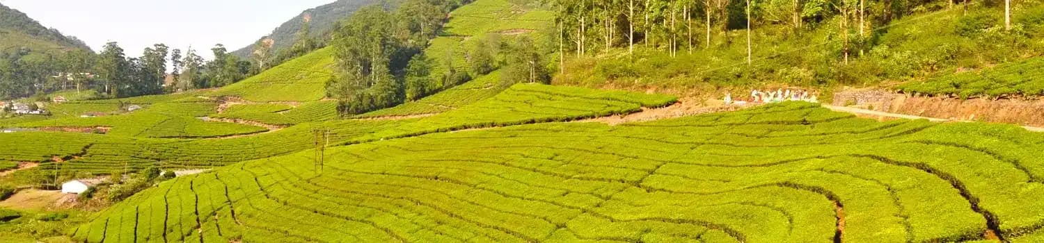Temples in Theni