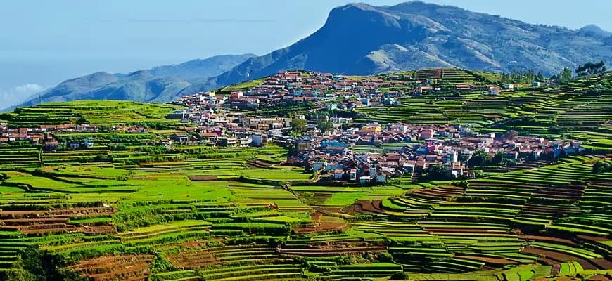 Tour to Kodaikanal - Tour to Kodaikanal