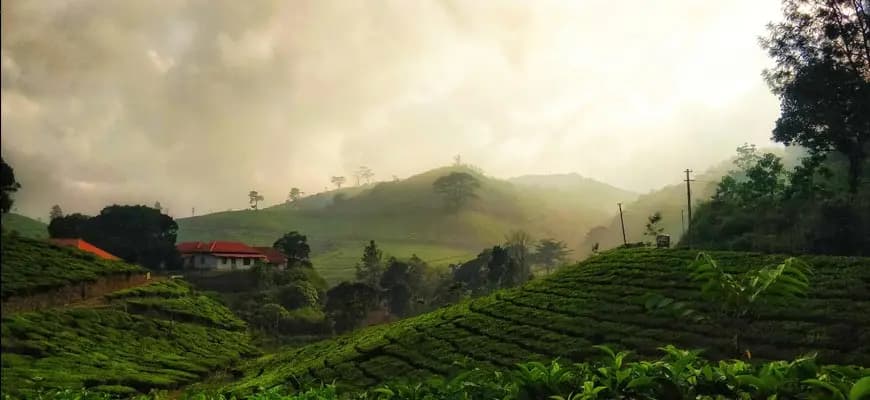 Nilgiri Hill Station Tour