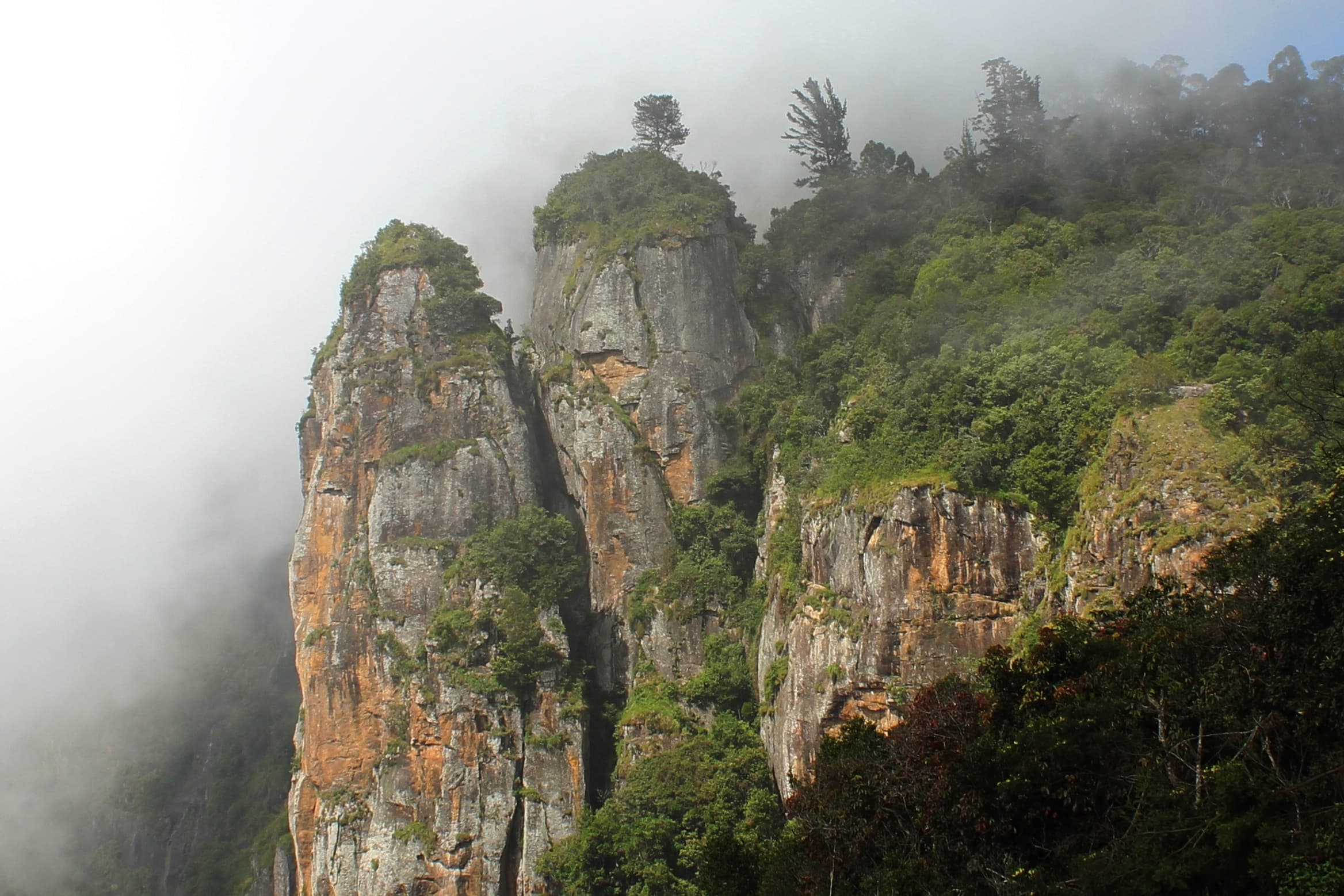 Trekking in Kodaikanal