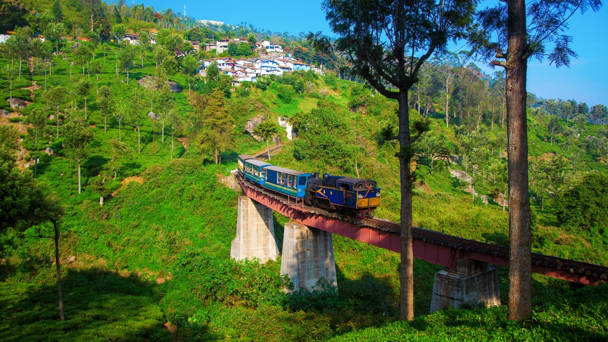 Ooty Tour Packages