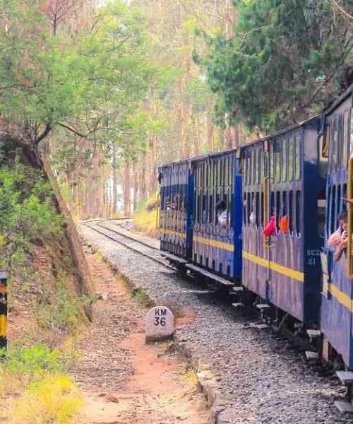 Honeymoon Tour Packages - Honeymoon to Majestic Hills