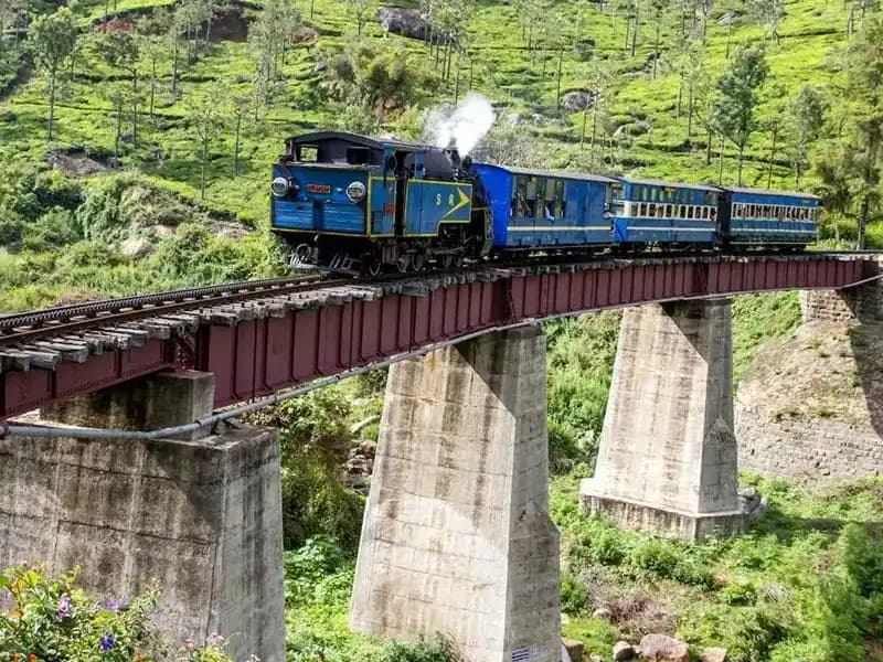 Ooty